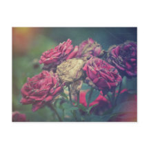 Ephemera Journal Craft Roses de carte postale