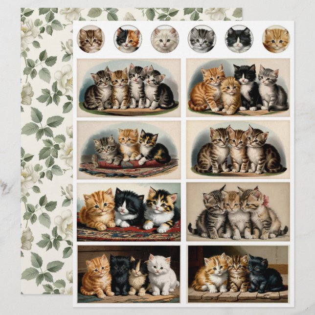 Épheméras de chatons de style vintage coupes minut (Devant / Derrière)