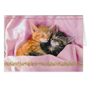Épouses Dormir ; Épouses