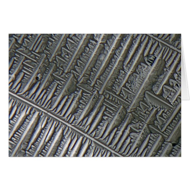 Epsomite sous le microscope (Devant horizontal)