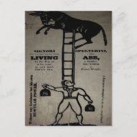 Équilibrer un Âne Vivant ~ Carte Postale