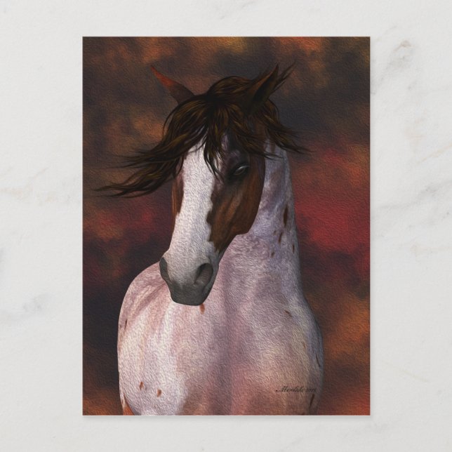 Equine Art, Carte postale Cheval (Devant)