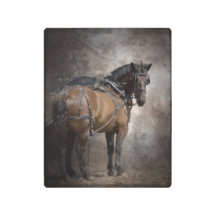 Équipe de cheval de trait dans le harnais