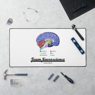 Équipe Neurosciences Anatomie du Cerveau Attitude