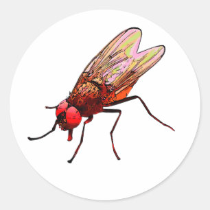 Équipement de salle de bain autocollant de toilett