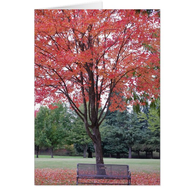 Érable avec banquette (Devant)