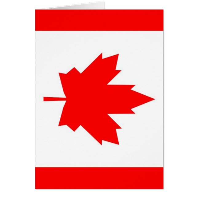 Érable canadien (Devant)