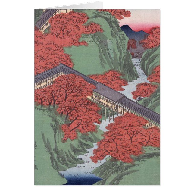 érable rouge japonais (Devant)