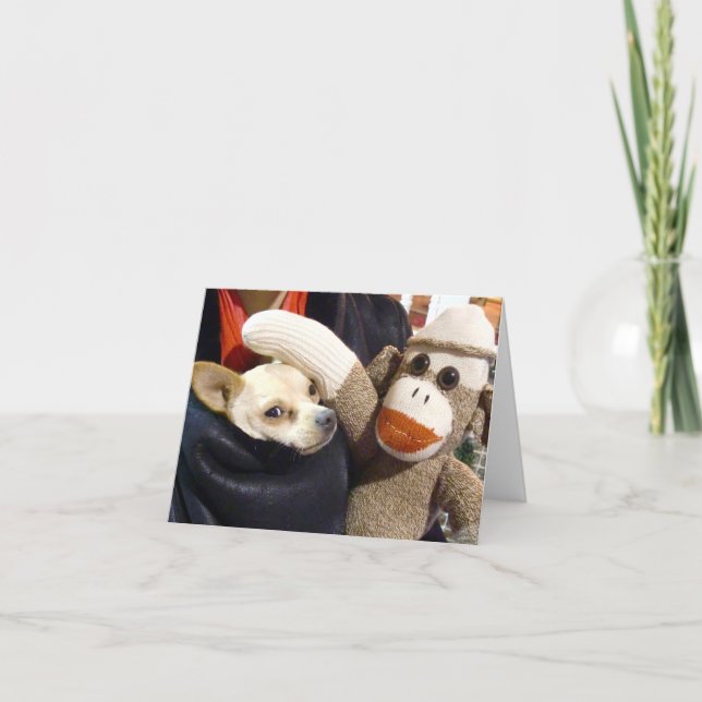 Ernie le singe de choeur et la carte Chihuahua (Devant)