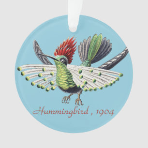 Ernst Haeckel Colibri Coloré Art de la Nature