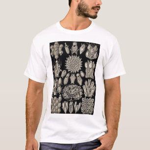 Ernst Haeckel - Tshirt Bryozoa2