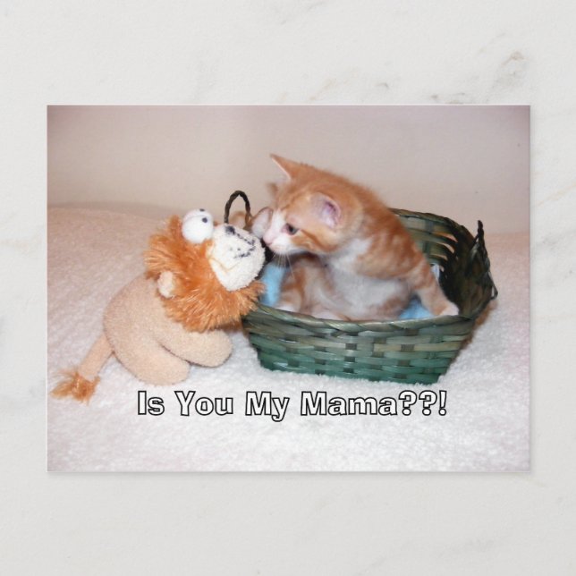 Es-tu ma maman ? ? ! ! Carte postale (Devant)