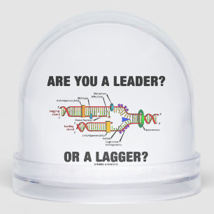 Es-Tu Un Leader ? Ou Un Plus Grand ? Réplication A