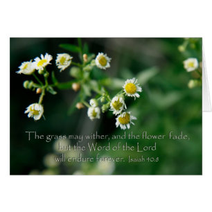 Ésaïe 40:8 L'herbe peut s'étirer et s'estomper