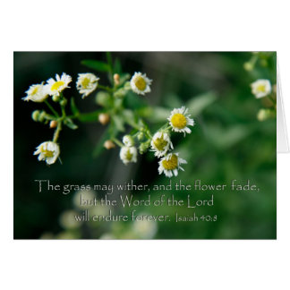 Ésaïe 40:8 L'herbe peut s'étirer et s'estomper