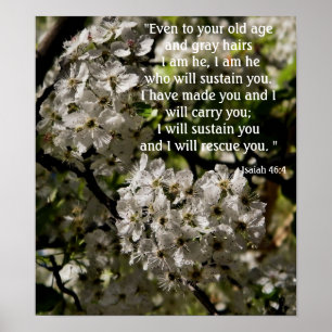 Ésaïe 46:4 affiche