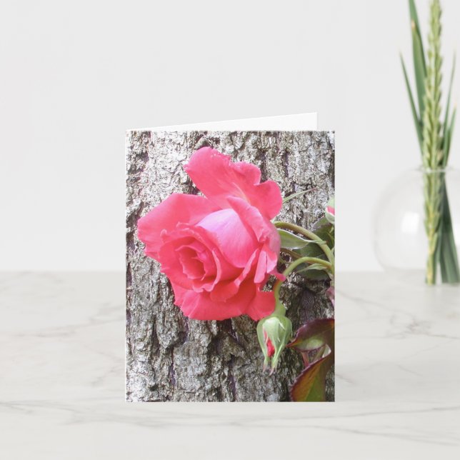 Escalade rose sur la carte de voeux arborescente (Devant)