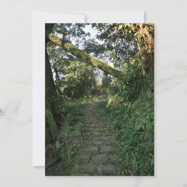 Escalier aux arbres (Devant)