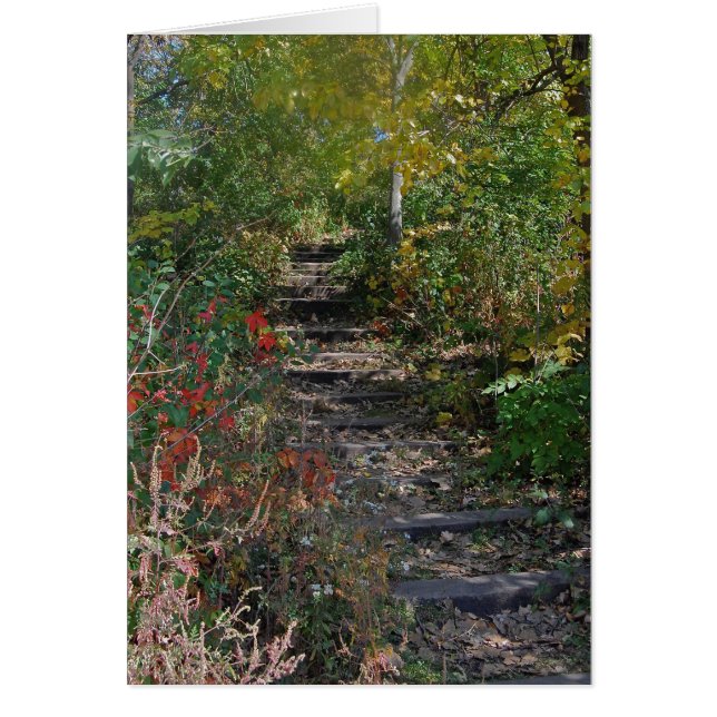 Escalier caché (Devant)