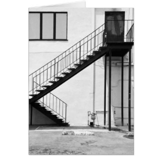 Escalier en noir et blanc