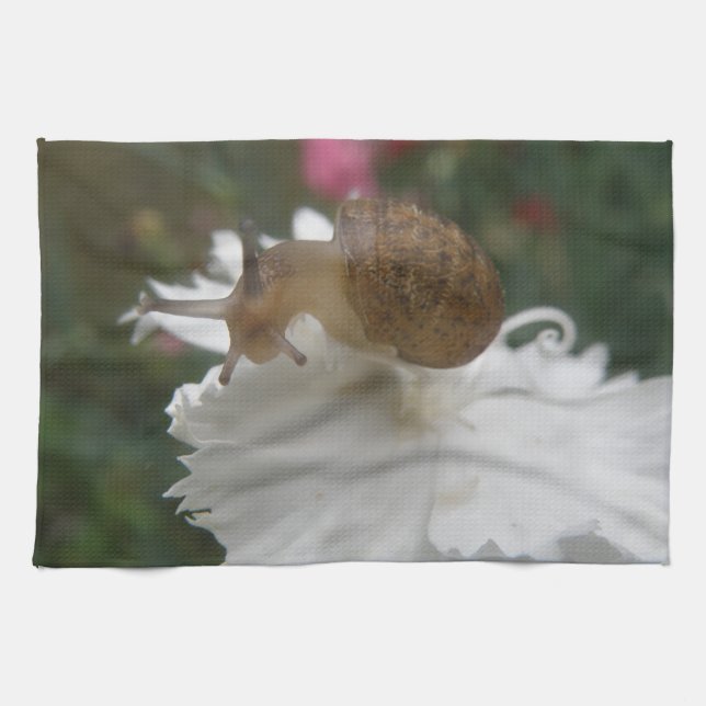 Escargot de jardin et serviette de cuisine carnati (Horizontal)
