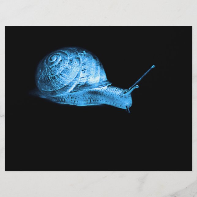 Escargot néon (Devant)