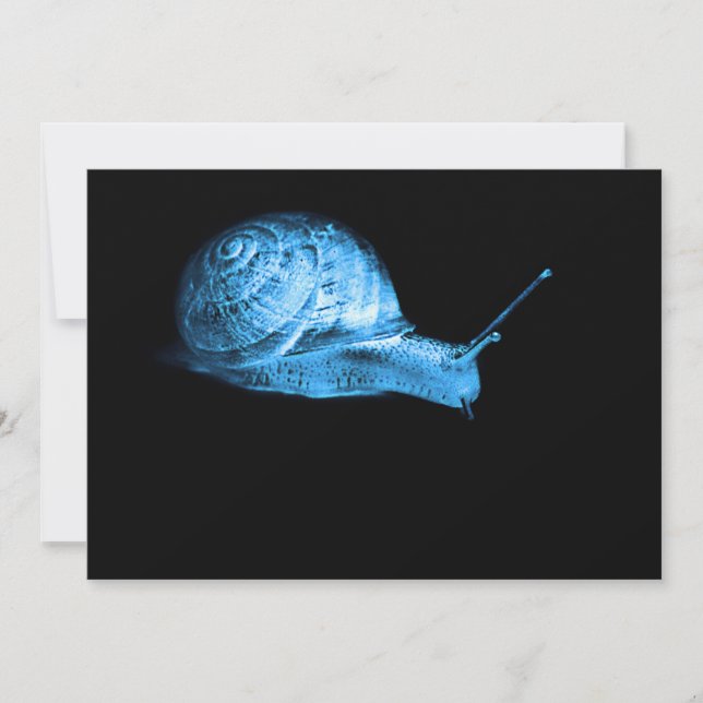 Escargot néon (Devant)