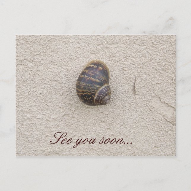 Escargot solitaire sur la carte postale murale (Devant)