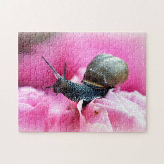 Escargot sur fleur gros plan, Puzzle de Jigsaw (Horizontal)