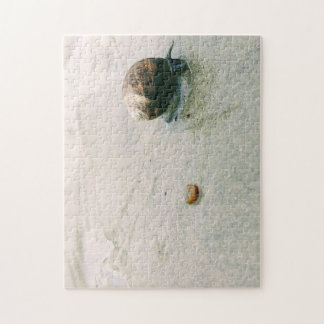 Escargot sur le puzzle de plage