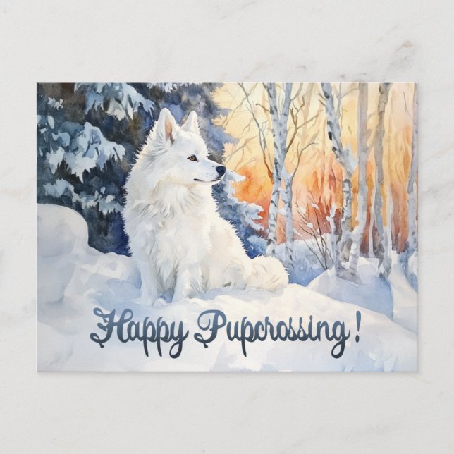 Eskie Postcrossing 1 - Carte postale (Devant)