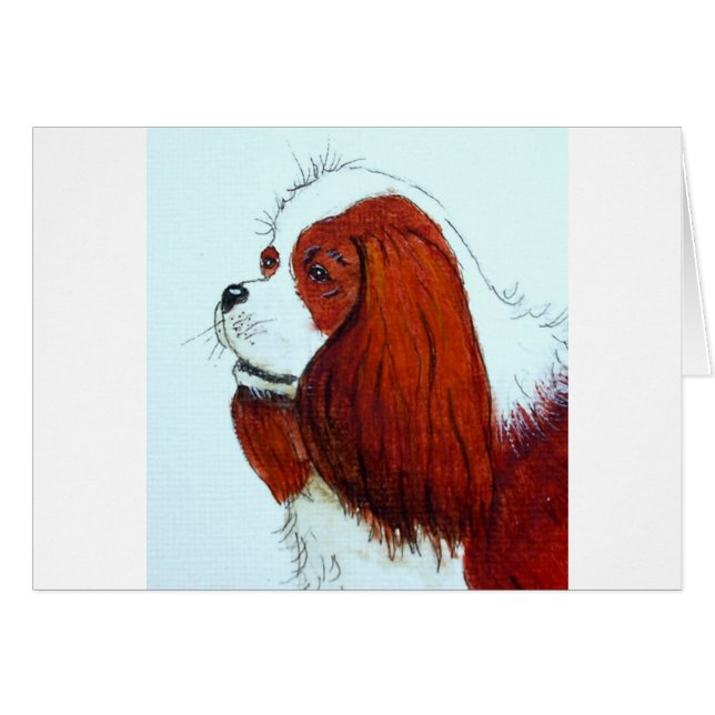 Espagne du roi Charles Cavalier (Devant horizontal)