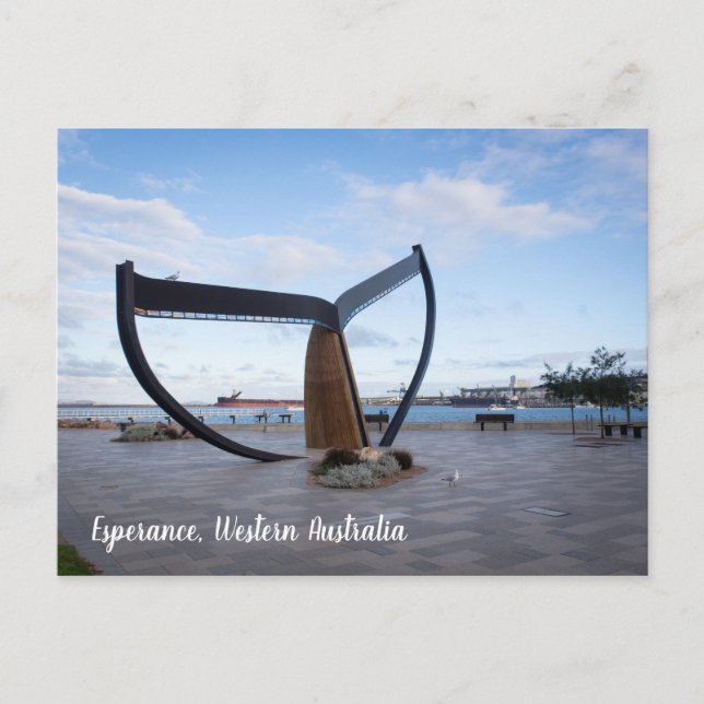 Esperance Esplanade Western Australia Carte postal (Devant)