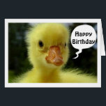 ESPÉRER QUE VOTRE ANNIVERSAIRE EST JUSTE DUCKY DIT<br><div class="desc">C'EST TRÈS BIEN POUR TOUT AMI PERSONNEL OU FAMILIAL-DANS VOTRE VIE POUR "N'IMPORTE QUEL ANNIVERSAIRE" QU'ILS PEUVENT CÉLÉBRER POUR CE DUCK EST SÉRIEUX...  REGARDEZ CE VISAGE !</div>