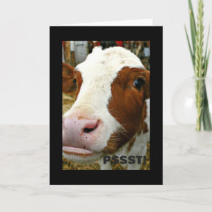 Cartes Vache D Anniversaire Zazzle Fr