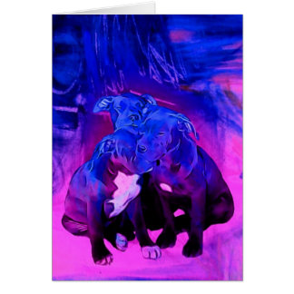 Espoir de foi et charité, chiens maltraités de