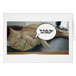 Espoir et changement/Humour de chat