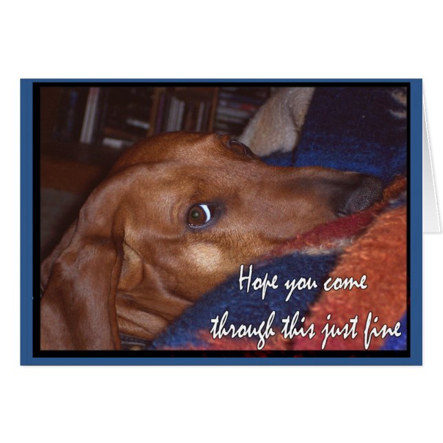 Espoir vous venez par cette amende juste (Devant horizontal)