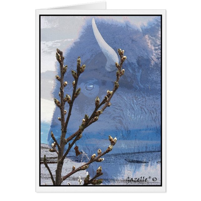 Esprit de Buffalo (Devant)