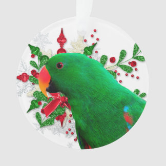 Esprit de Noël Eclectus