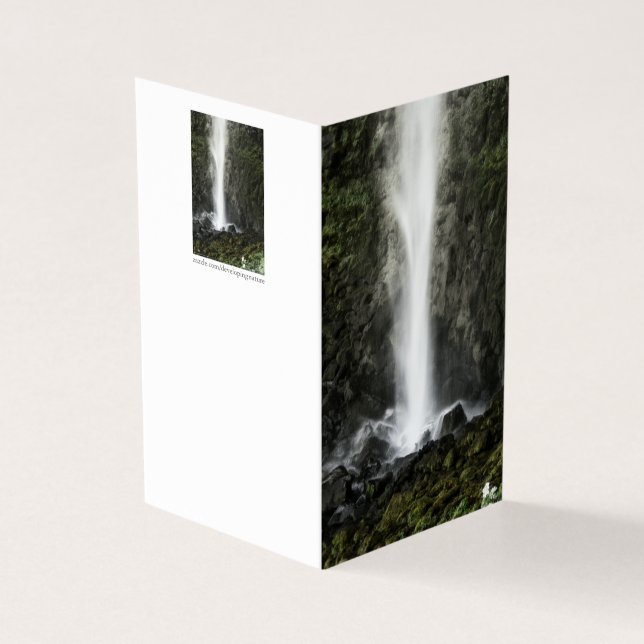 Esprit du bassin (Outside)