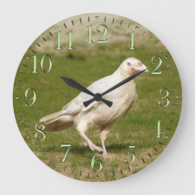 (Esprit) Raven blanc rare et horloge murale (Recto)