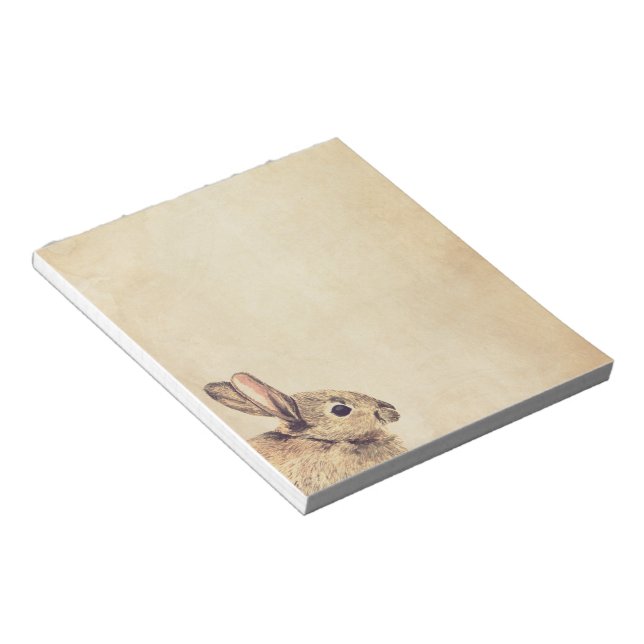 Esquisse de lapin vintage petit Bloc-notes (Incliné)