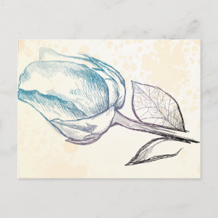 Esquisse d'un rose, carte postale