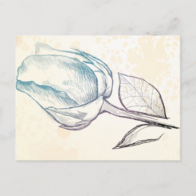 Esquisse d'un rose, carte postale (Devant)