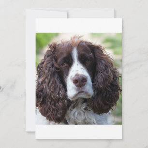 ESS foie blanc seconde