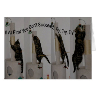 Essayez jusqu'à ce que vous puissiez