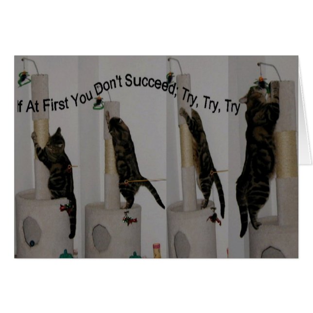 Essayez jusqu'à ce que vous puissiez (Devant horizontal)