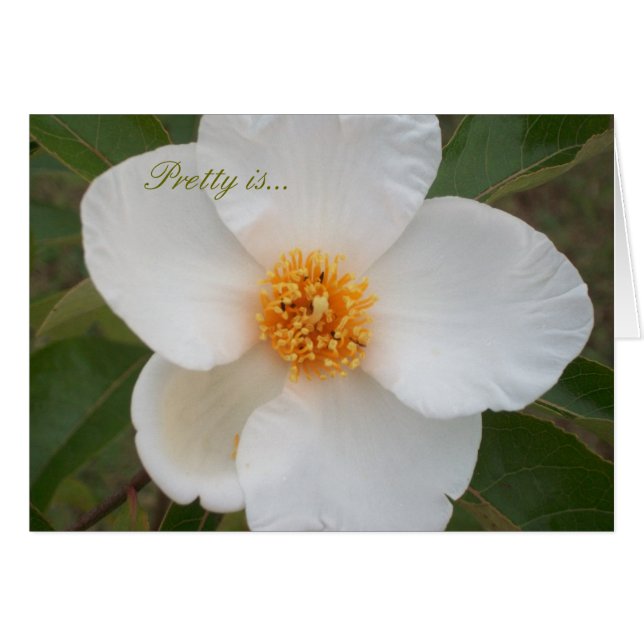 Est assez (Devant horizontal)