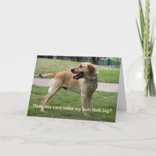 Est-ce que cette carte me fait paraître mon cul gr